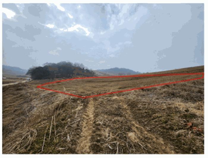 충청남도 아산시 인주면 관암리 210-3 전 경매 사진 3