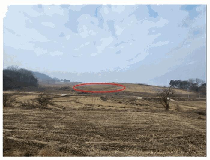 충청남도 아산시 인주면 관암리 210-3 전 경매 사진 4