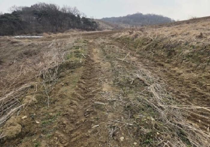 충청남도 아산시 인주면 관암리 210-3 전 경매 사진 8
