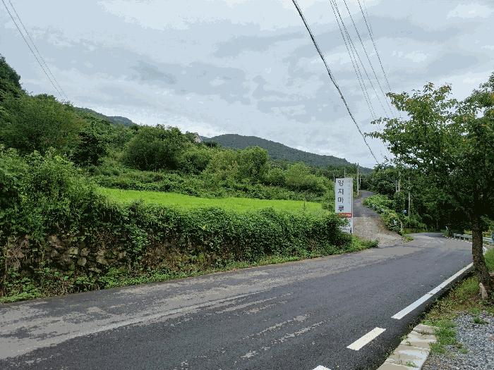 경상북도 경주시 산내면 대현리 204-2 임야 경매 사진 3