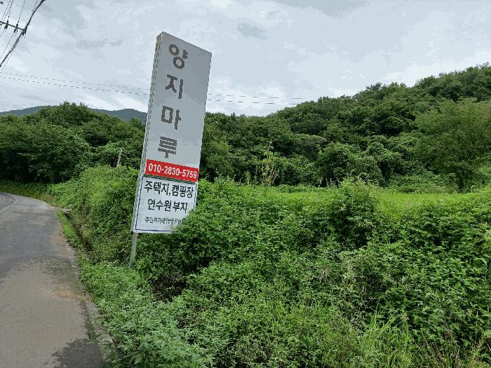 경상북도 경주시 산내면 대현리 204-2 임야 경매 사진 4