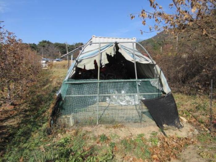 경상북도 문경시 마성면 하내리 236 전 경매 사진 11