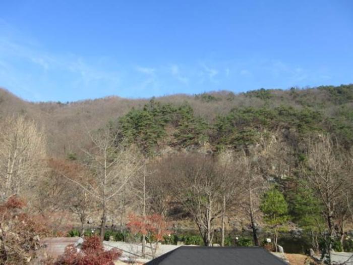 경상북도 문경시 마성면 하내리 236 전 경매 사진 4