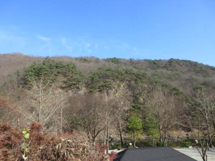 경상북도 문경시 마성면 하내리 236 전 경매 사진 5