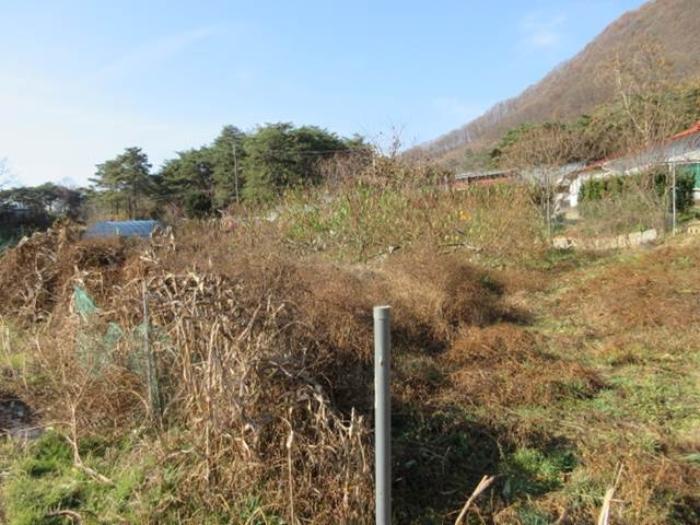 경상북도 문경시 마성면 하내리 236 전 경매 사진 6