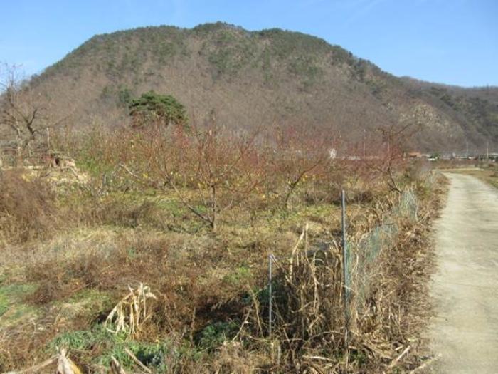 경상북도 문경시 마성면 하내리 236 전 경매 사진 7