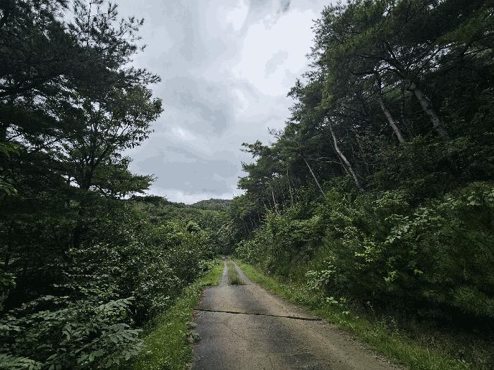 경상북도 경주시 임야