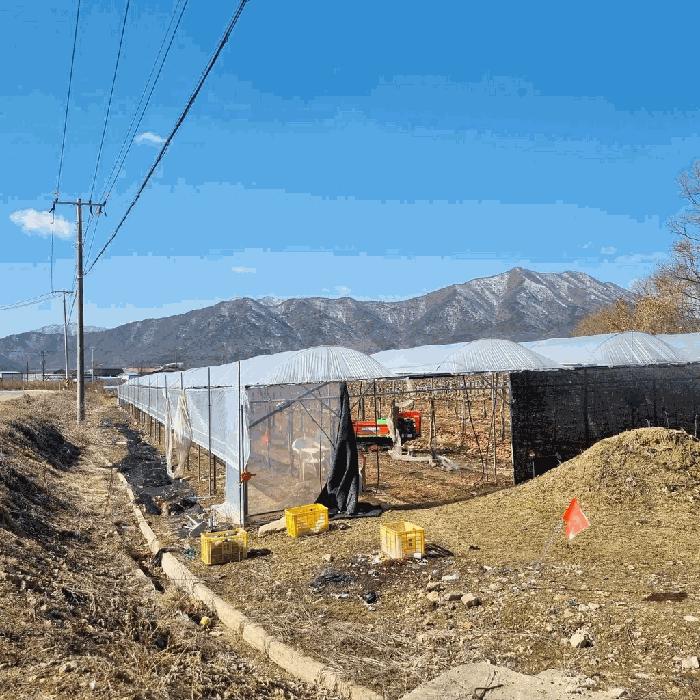경상북도 상주시 모동면 이동리 377 전 경매 사진 1