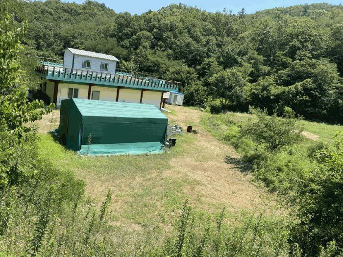 경상북도 영천시 북안면 서당리 334 답 경매 사진 10