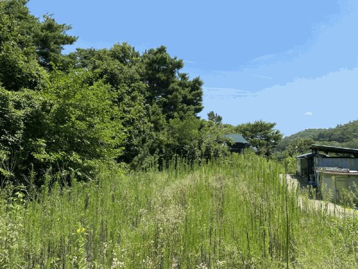경상북도 영천시 북안면 서당리 334 답 경매 사진 12