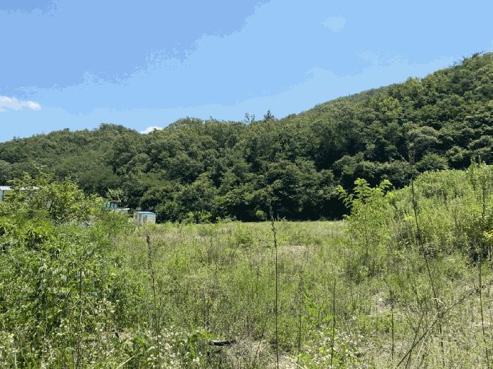 경상북도 영천시 북안면 서당리 334 답 경매 사진 14