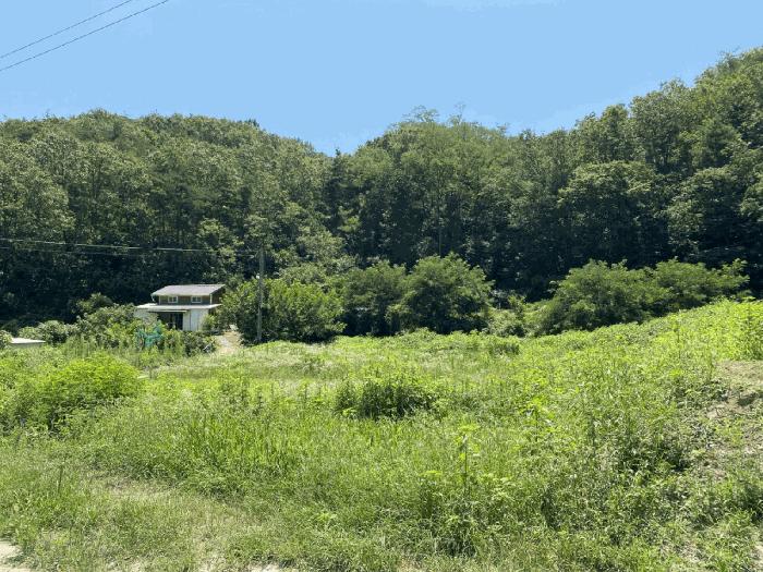 경상북도 영천시 북안면 서당리 334 답 경매 사진 2