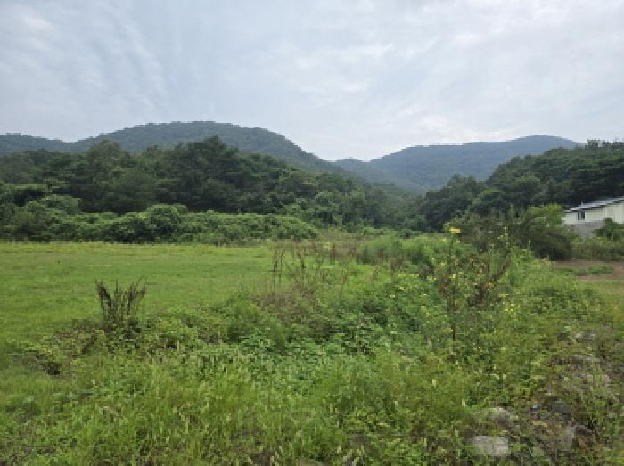 경상북도 영천시 북안면 서당리 334 답 경매 사진 20