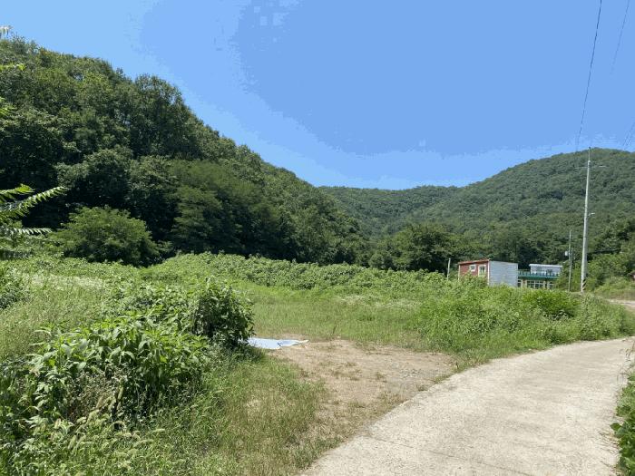 경상북도 영천시 북안면 서당리 334 답 경매 사진 6