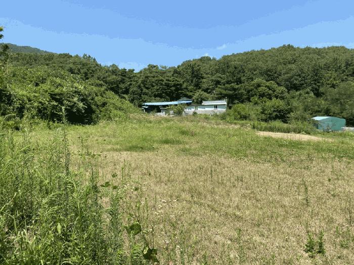 경상북도 영천시 북안면 서당리 334 답 경매 사진 7