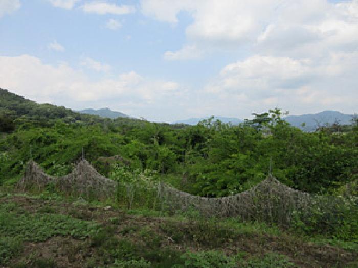 경상북도 상주시 공성면 도곡리 434 답 경매 사진 10