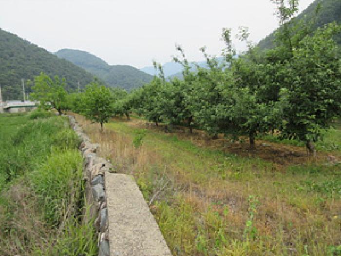 경상북도 문경시 마성면 상내리 199 답 경매 사진 10