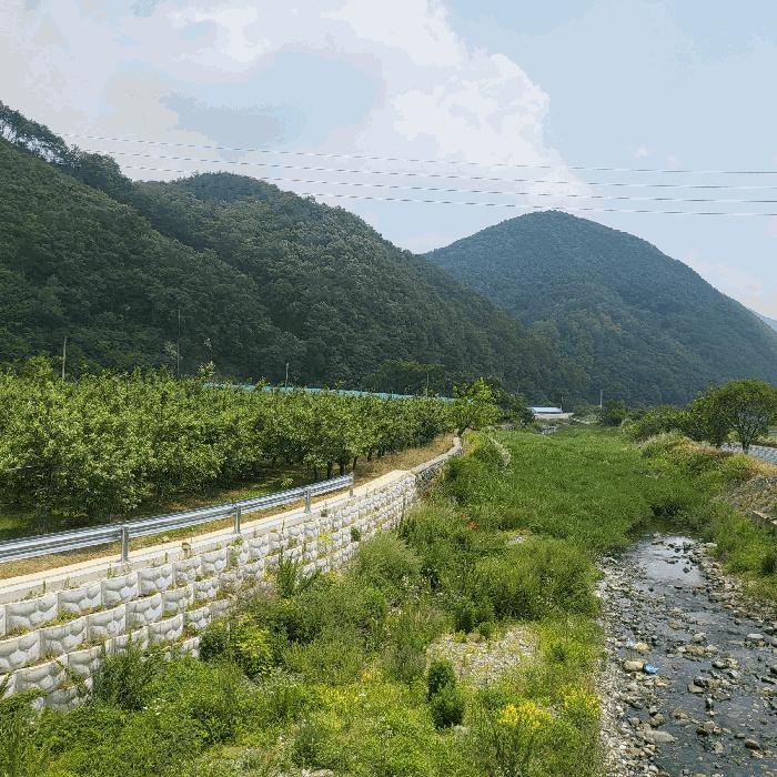 경상북도 문경시 마성면 상내리 199 답 경매 사진 2