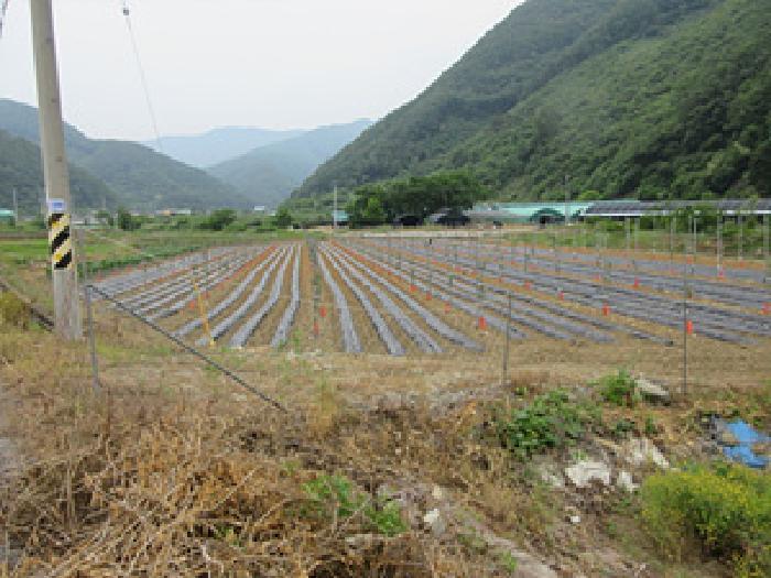 경상북도 문경시 마성면 상내리 199 답 경매 사진 9