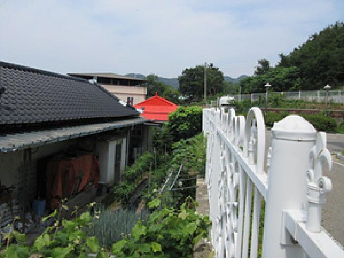 경상북도 상주시 계산동 501-7 답 경매 사진 8