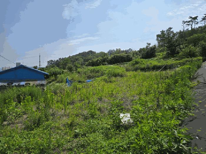 부산 기장군 답