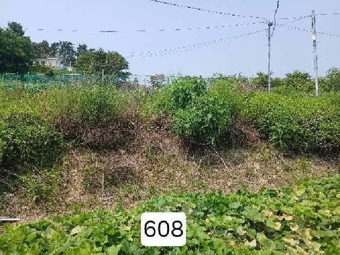 부산광역시 기장군 장안읍 월내리 201-8 답 경매 사진 6