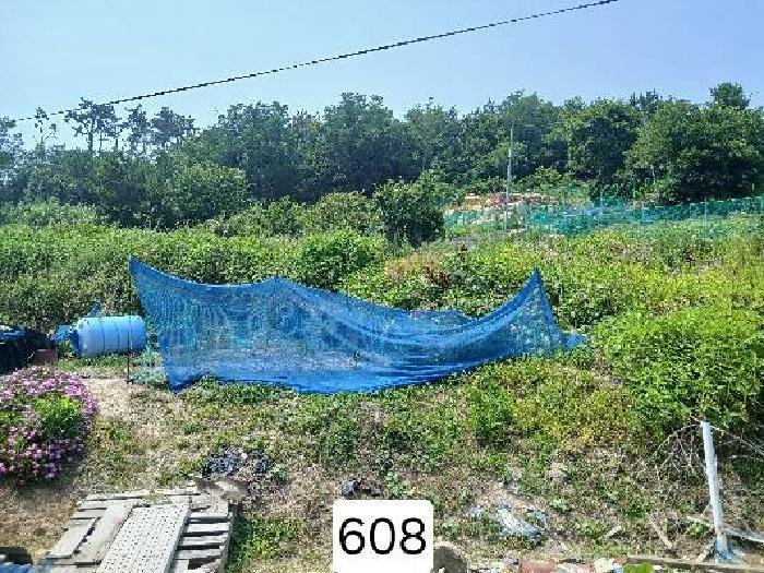 부산광역시 기장군 장안읍 월내리 201-8 답 경매 사진 7