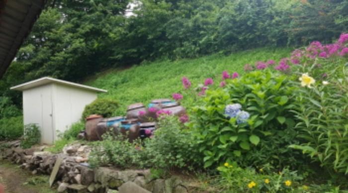 경기도 안성시 일죽면 화봉리 137 대지 경매 사진 12