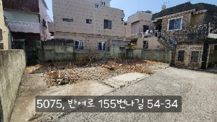 부산광역시 해운대구 반여동 982-51 주택 경매 사진 11