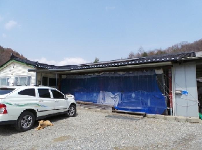 강원특별자치도 평창군 용평면 도사리 147-1 주택 경매 사진 14
