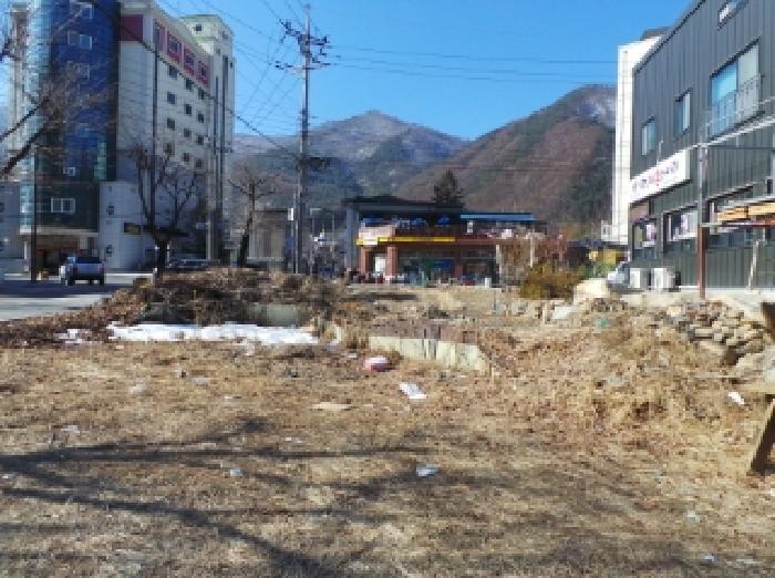 강원특별자치도 정선군 남면 무릉리 474-1 답 경매 사진 5