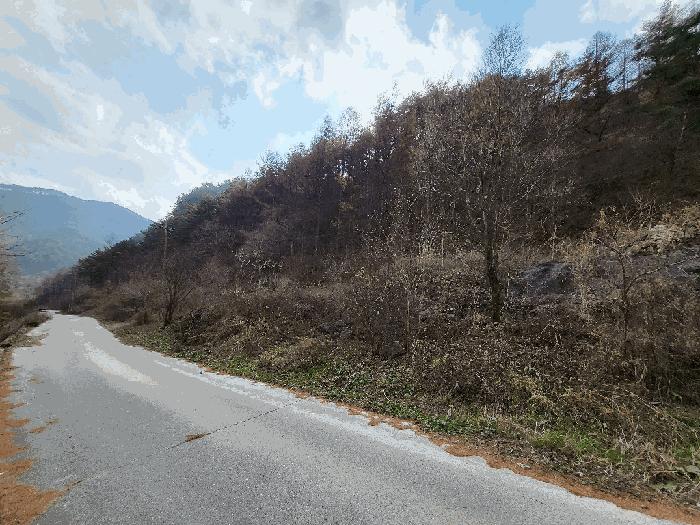 강원특별자치도 정선군 여량면 유천리 산17 임야 경매 사진 1