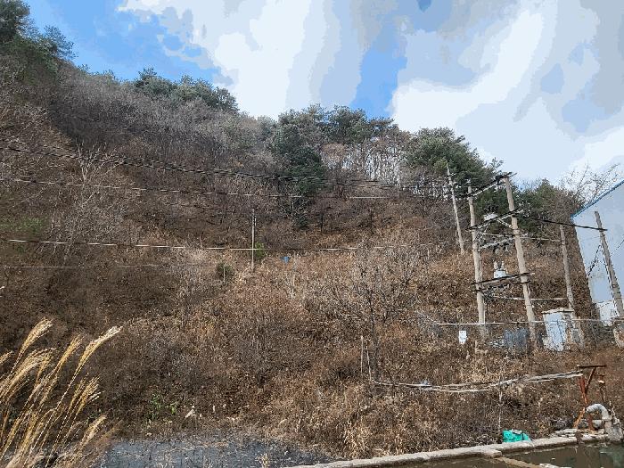 강원특별자치도 정선군 여량면 남곡리 261 전 경매 사진 10