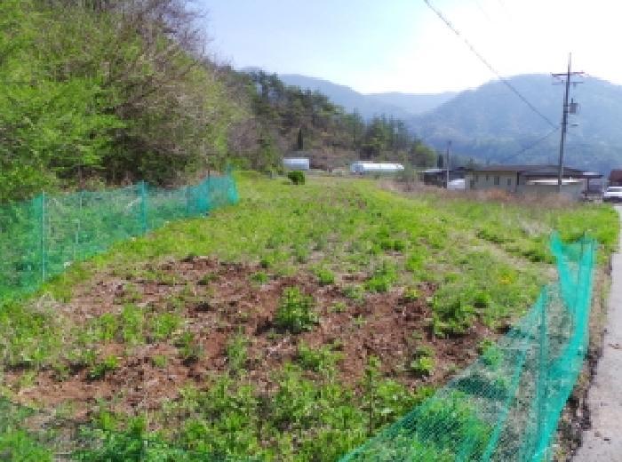 강원특별자치도 영월군 북면 공기리 1501-1 전 경매 사진 3