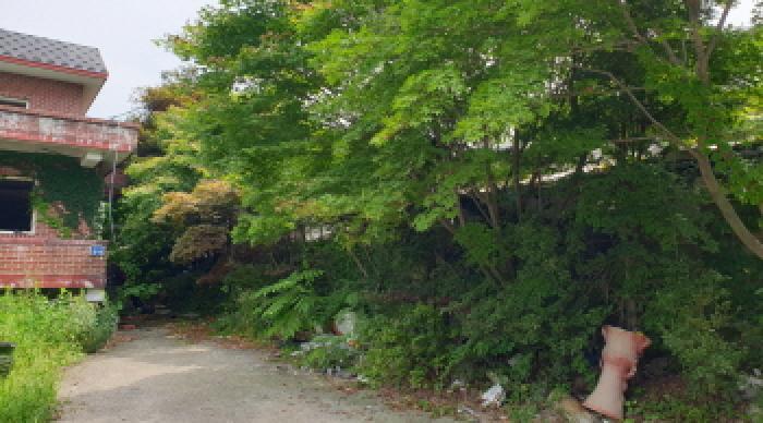 경기도 김포시 고촌읍 신곡리 353-1 주택 경매 사진 9