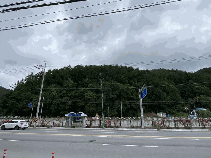 강원 태백시 임야