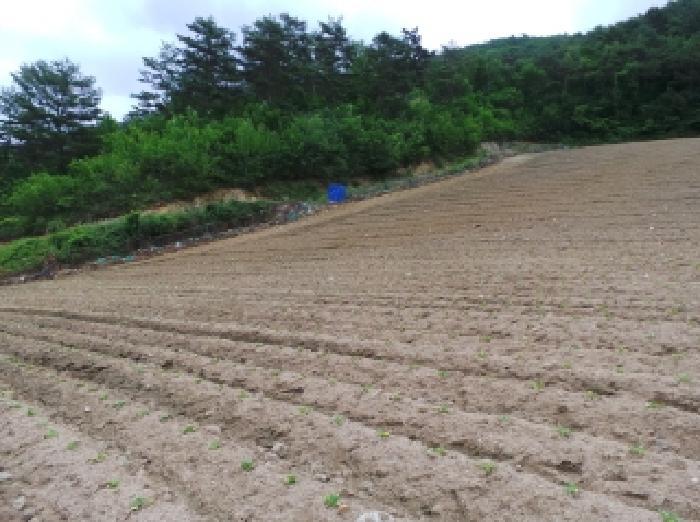 강원특별자치도 평창군 진부면 마평리 749 전 경매 사진 10