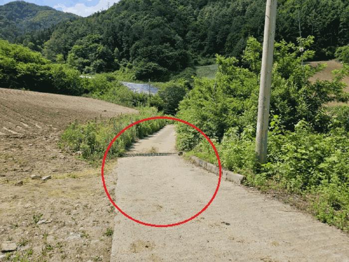 강원특별자치도 평창군 진부면 마평리 749 전 경매 사진 5