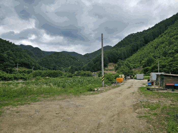 강원특별자치도 정선군 남면 무릉리 362 전 경매 사진 12