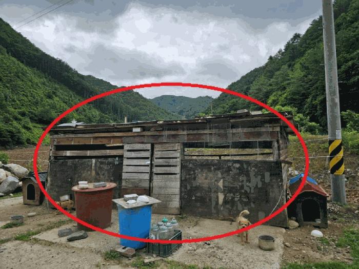 강원특별자치도 정선군 남면 무릉리 362 전 경매 사진 13