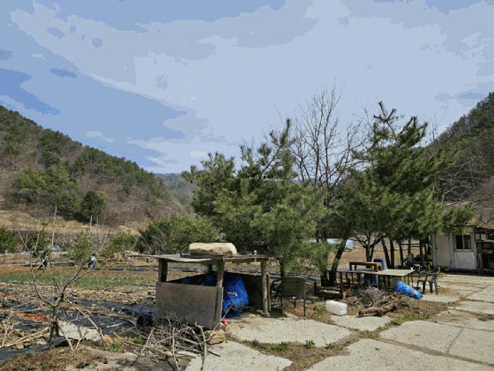 강원특별자치도 정선군 남면 무릉리 362 전 경매 사진 14