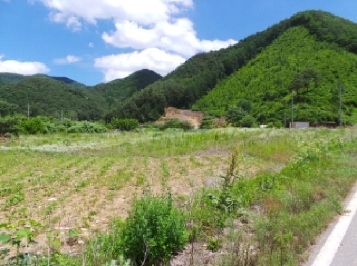 강원특별자치도 정선군 남면 무릉리 362 전 경매 사진 17
