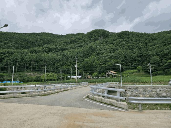 강원특별자치도 정선군 남면 무릉리 362 전 경매 사진 5