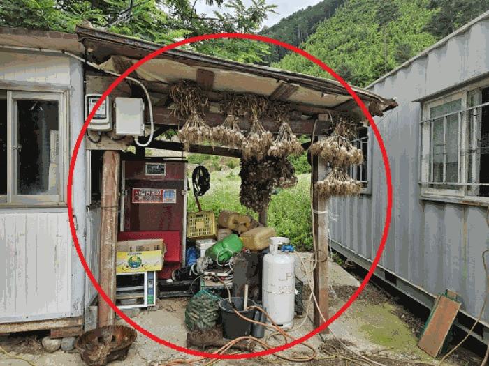 강원특별자치도 정선군 남면 무릉리 362 전 경매 사진 6