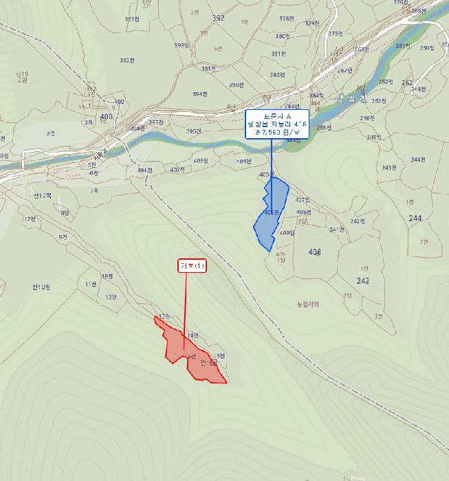 강원특별자치도 평창군 대화면 상안미리 490 전 경매 사진 8