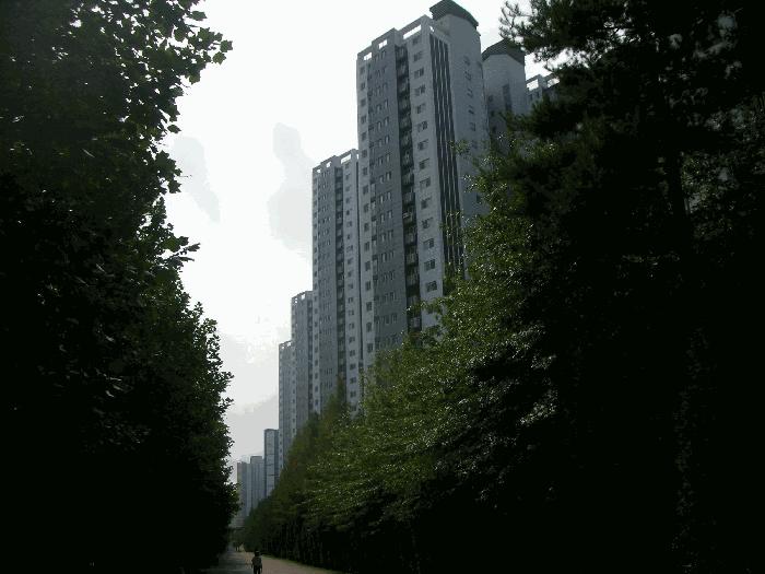 경기도 김포시 구래동 6888-4 구래역화성파크드림 105동 16층1602호 아파트 경매 사진 1