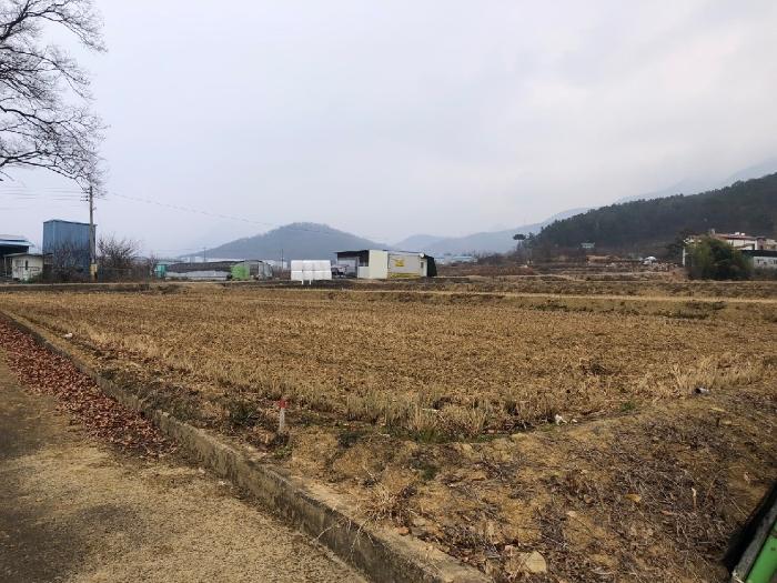 대구 달성군 답