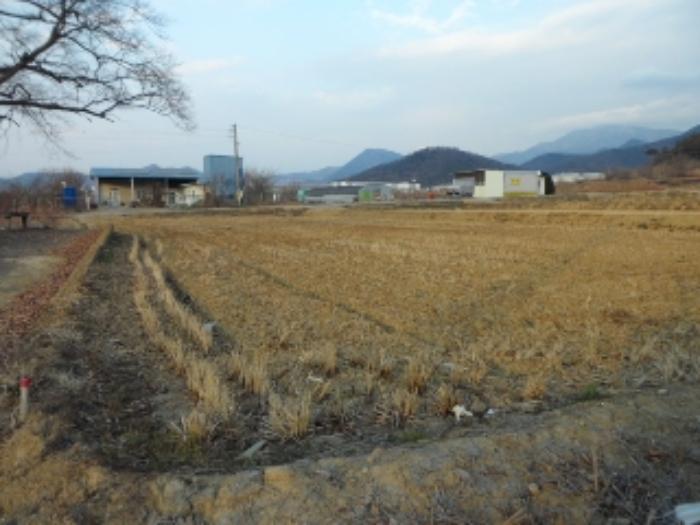 대구광역시 달성군 유가읍 도의리 568 답 경매 사진 5