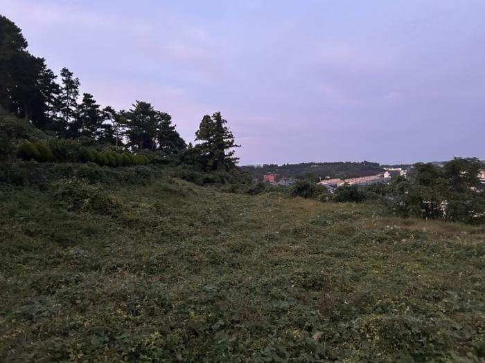 제주특별자치도 서귀포시 서홍동 1724-1 과수원 경매 사진 5