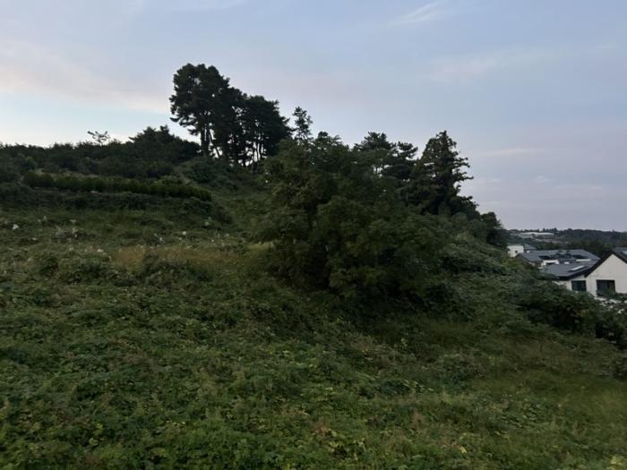 제주특별자치도 서귀포시 서홍동 1724-1 과수원 경매 사진 6